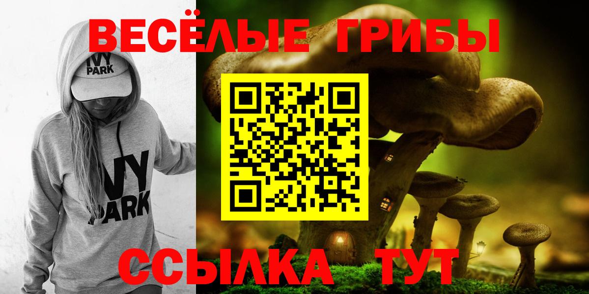 Хасавюрт  Галлюциногенные грибы Cubensis  Вход с VPN 